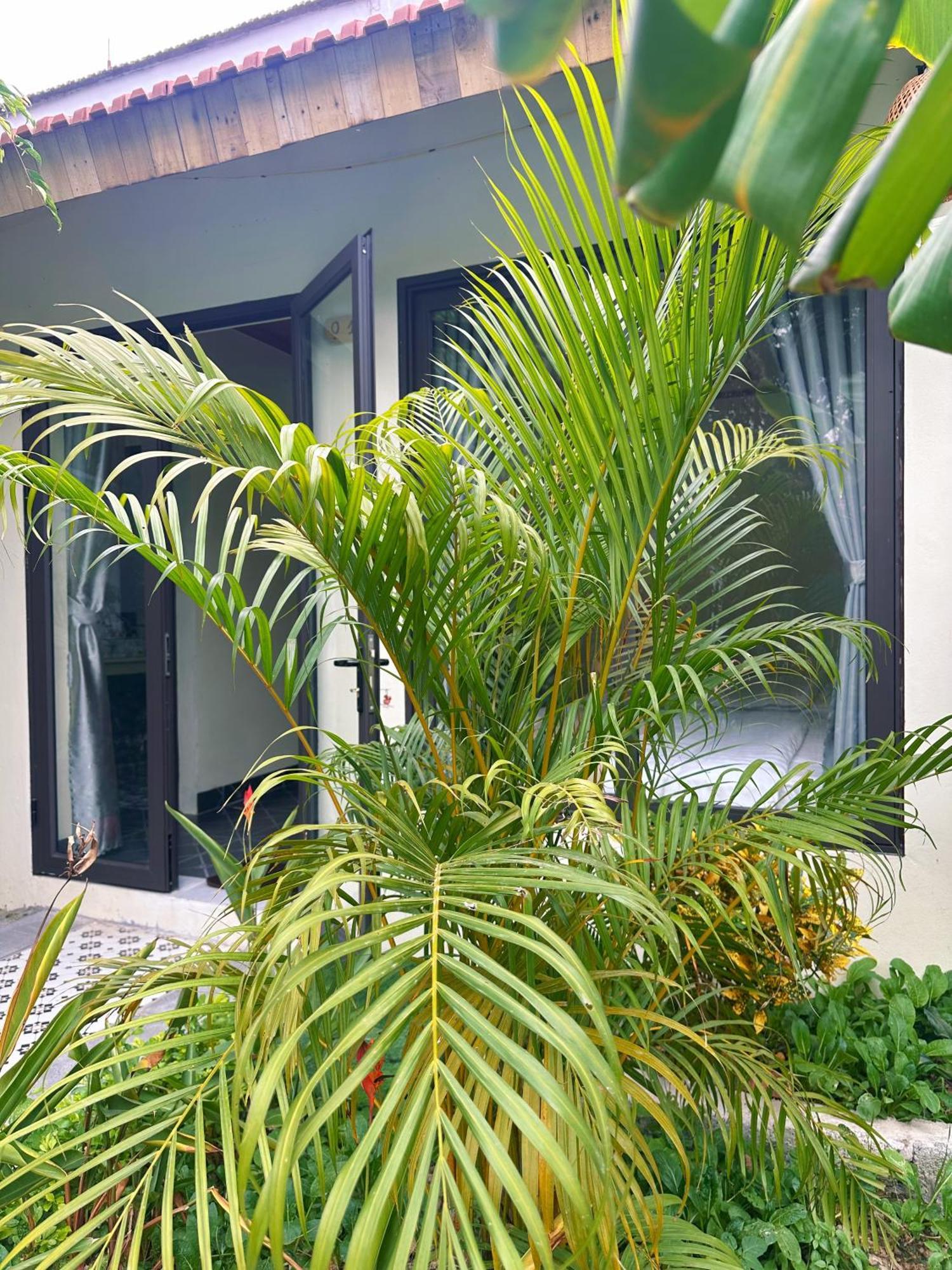 Hang Mua Green Retreat Xuan Son Exterior foto